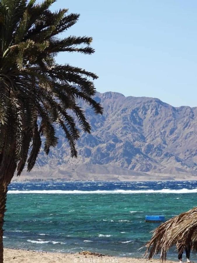 Zarnouk Beach House Dahab Exteriör bild